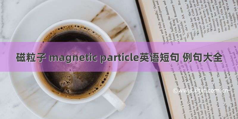 磁粒子 magnetic particle英语短句 例句大全