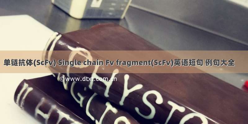 单链抗体(ScFv) Single chain Fv fragment(ScFv)英语短句 例句大全