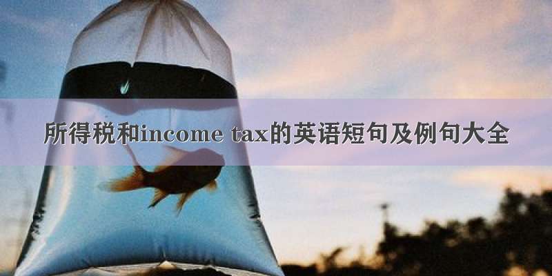 所得税和income tax的英语短句及例句大全