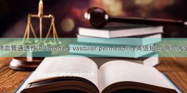 肺血管通透性 Pulmonary vascular permeability英语短句 例句大全