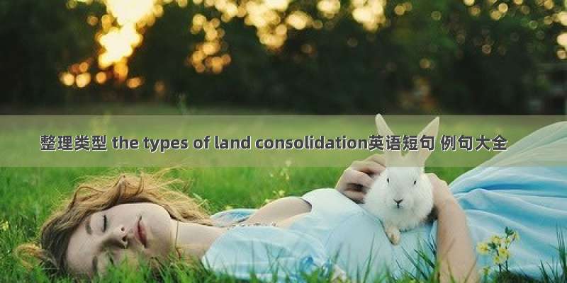 整理类型 the types of land consolidation英语短句 例句大全