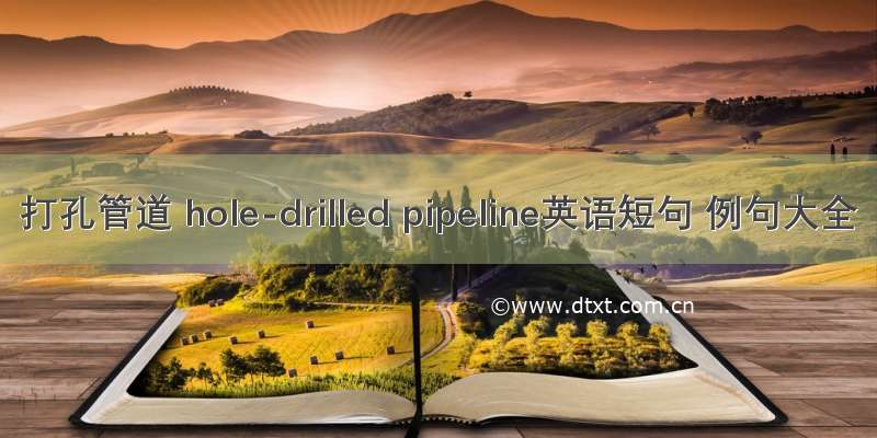 打孔管道 hole-drilled pipeline英语短句 例句大全