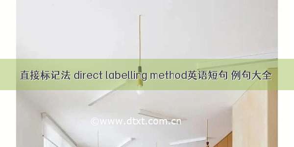 直接标记法 direct labelling method英语短句 例句大全