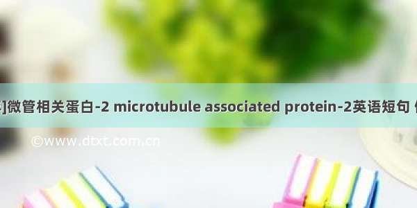 [2024年]微管相关蛋白-2 microtubule associated protein-2英语短句 例句大全