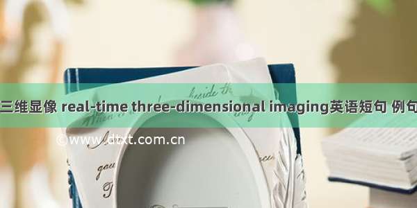 实时三维显像 real-time three-dimensional imaging英语短句 例句大全